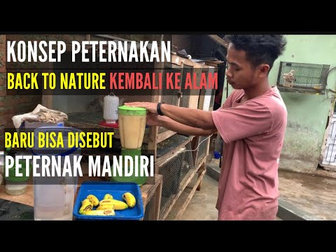 Video: Livestock 2.0 - Pengeditan Genom Untuk Hewan Ternak Yang Lebih Sehat, Sehat, Dan Lebih Produktif