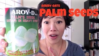 Tasting Palm Seeds