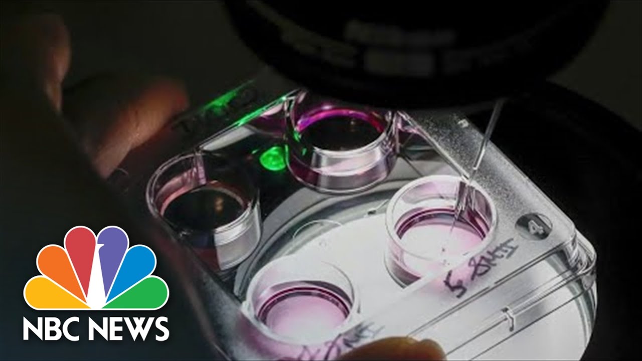 Could IVF Become A Target After The Supreme Court’s Ruling On Roe v. Wade?