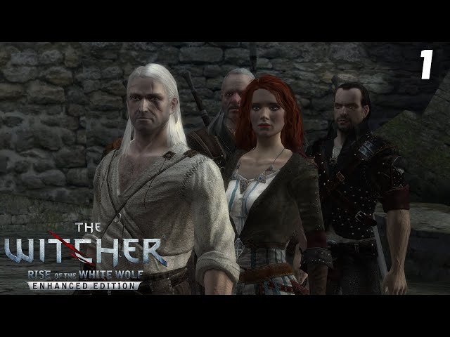 Rise of the White Wolf - The Witcher Enhanced Edition - SimHQ Forums