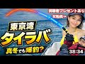 女船長 タイラバ 真冬でも爆釣? #夫婦釣り #視聴者プレゼント