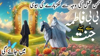 Bibi Fatima se Pehle Lakadhare Ki Biwi Jannat Me Kyun Jayegi || Hazrat Bibi Fatima ka wakya