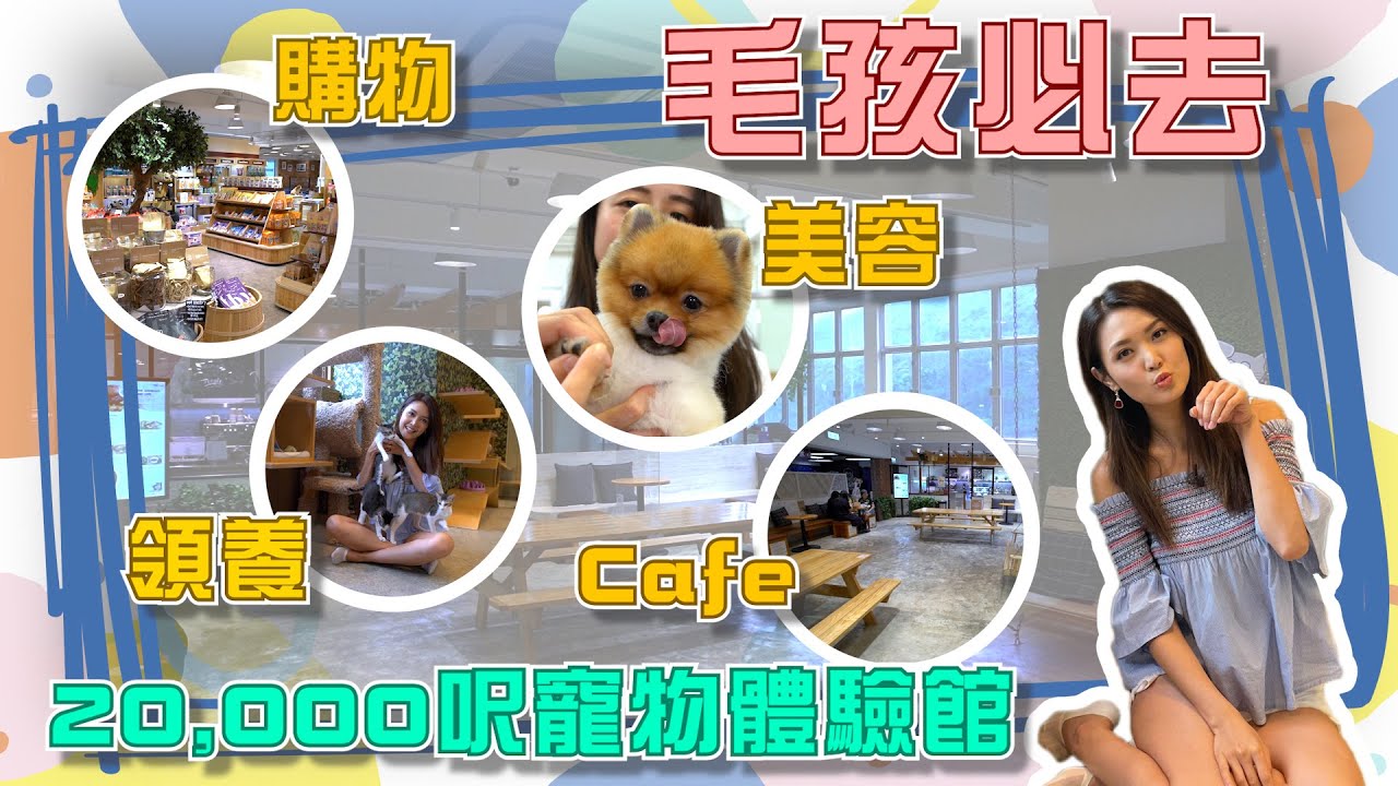 【寵物浦點】鴨脷洲一站式寵物服務😻| 寵物友善 Café🐶｜購物｜領養寵物🐰｜寵物美容｜Whiskers N Paws｜Toby陳庭欣