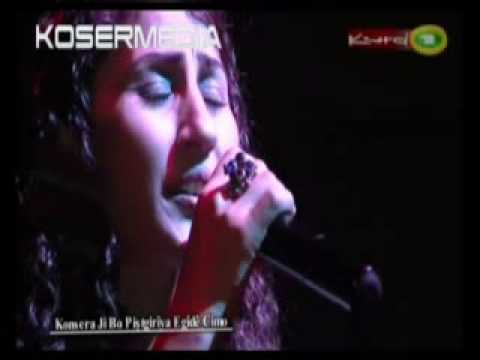 Aynur Doğan-Dar Hejîrokê