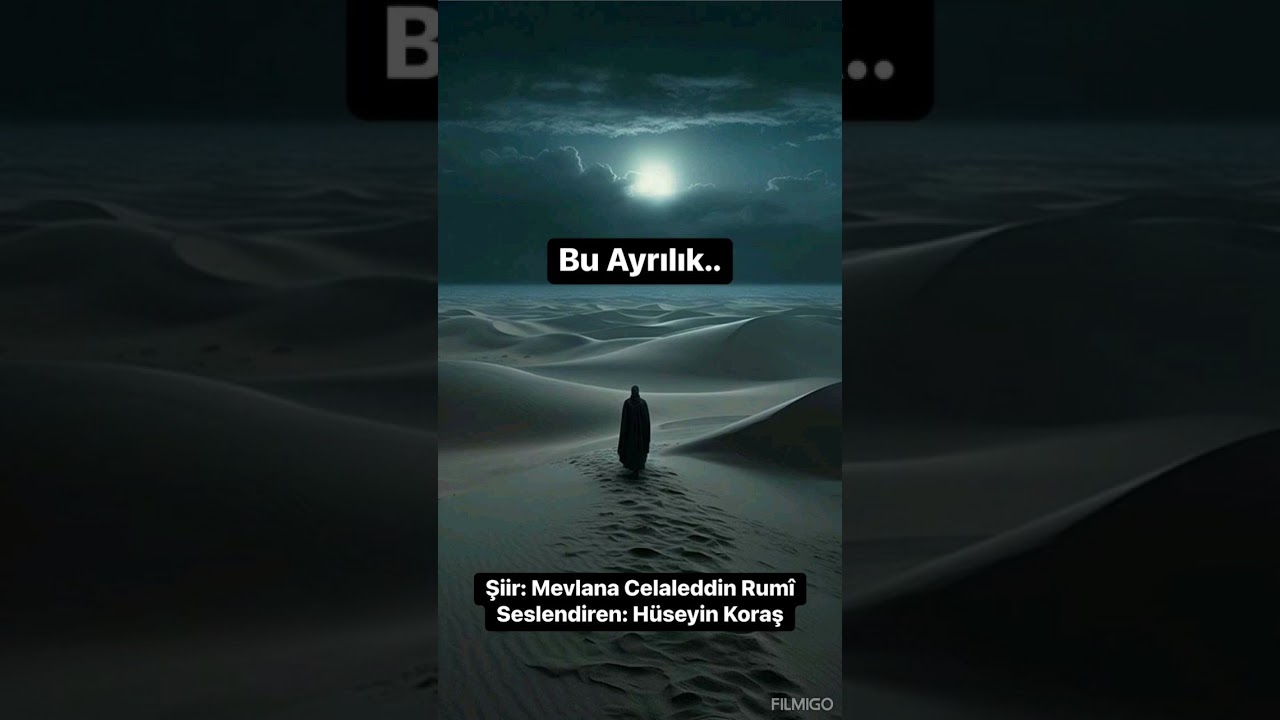 Bu ayrılık  (  Mevlana Celaleddin Rumi  )