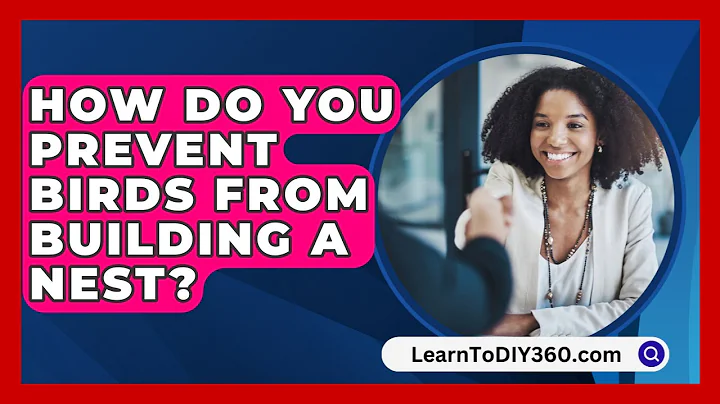 How Do You Prevent Birds From Building A Nest? - LearnToDIY360.com