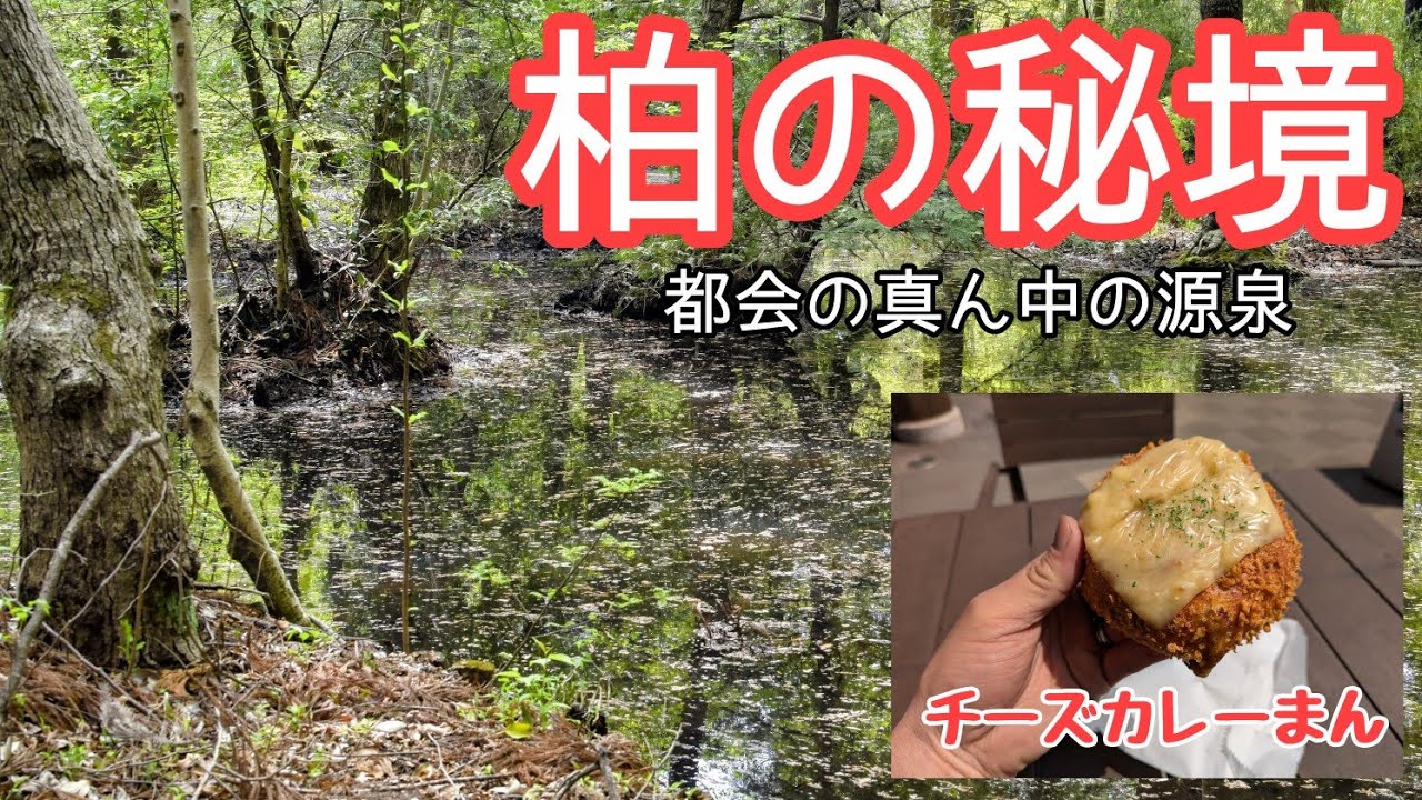 【柏方面】手賀沼の源泉！カブでＳＡ飯を食いに行こう！【クロスカブ】