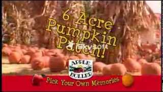 Apple Picking & Pumpkin Picking at Apple Holler Apple Picking & Pumpkin Picking at Apple Holler