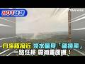 白海豚接近淡水驚見「龍捲風」一路狂掃　震撼畫面曝！