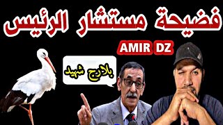 بلارج الطائر المجاهد..امير ديزاد يقصف 🤬😡 Amir dz