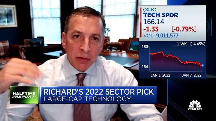 Richard Saperstein's 2022 sector pick is large-cap...