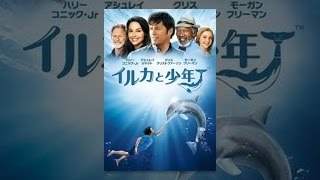 イルカと少年 (日本語字幕版)
