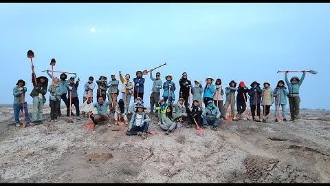 Planting Seeds of Change: How Tencent is Combating Desertification