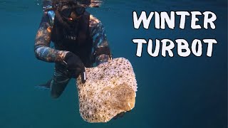 Spearfishing Norway - Turbot (Piggvar)