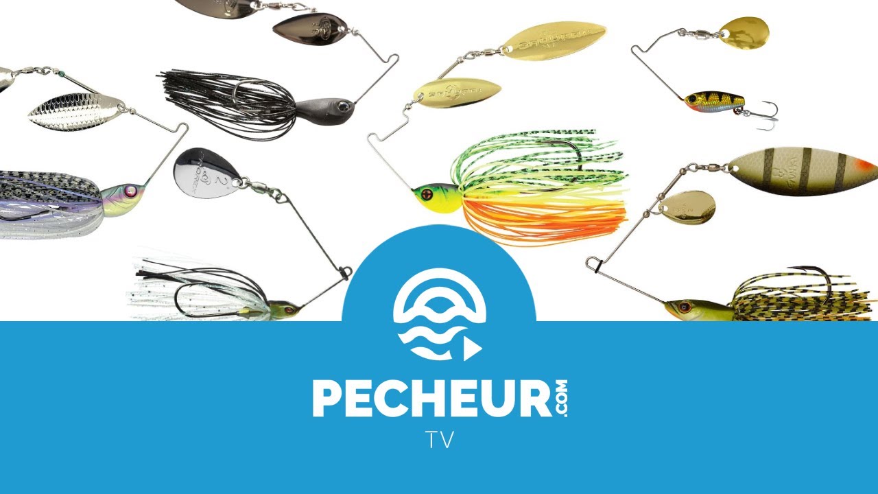 Spinnerbait Lexique YouTube