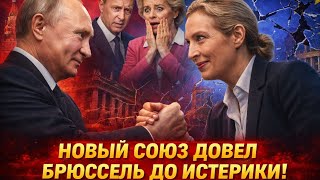 ГЕРМАНИЯ В ЯРОСТИ! Friedrich Merz ШОКИРОВАН ТАЙНЫМИ ПЕРЕГОВОРАМИ С Vladimir Putin?!