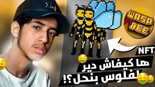 WASPvsBEE | Play To Earn 🤑 شرح مفصل screenshot 2
