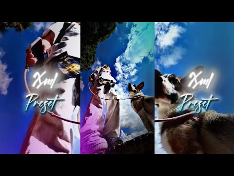 DJ  TIKTOK remix//preset:[[NEW TREND]] Preset alight motion Xml file 🗃️
