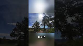 Knoll Willows - Estes Park's Best Kept Secret #shorts