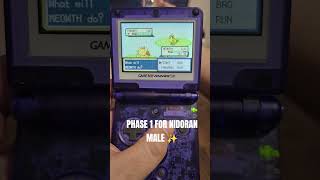 Pokemone Firered Shiny Pidgey #pokemon #shinypokemon #shinyhunting #pokemonfirered #pokémon