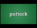 Puttock Meaning