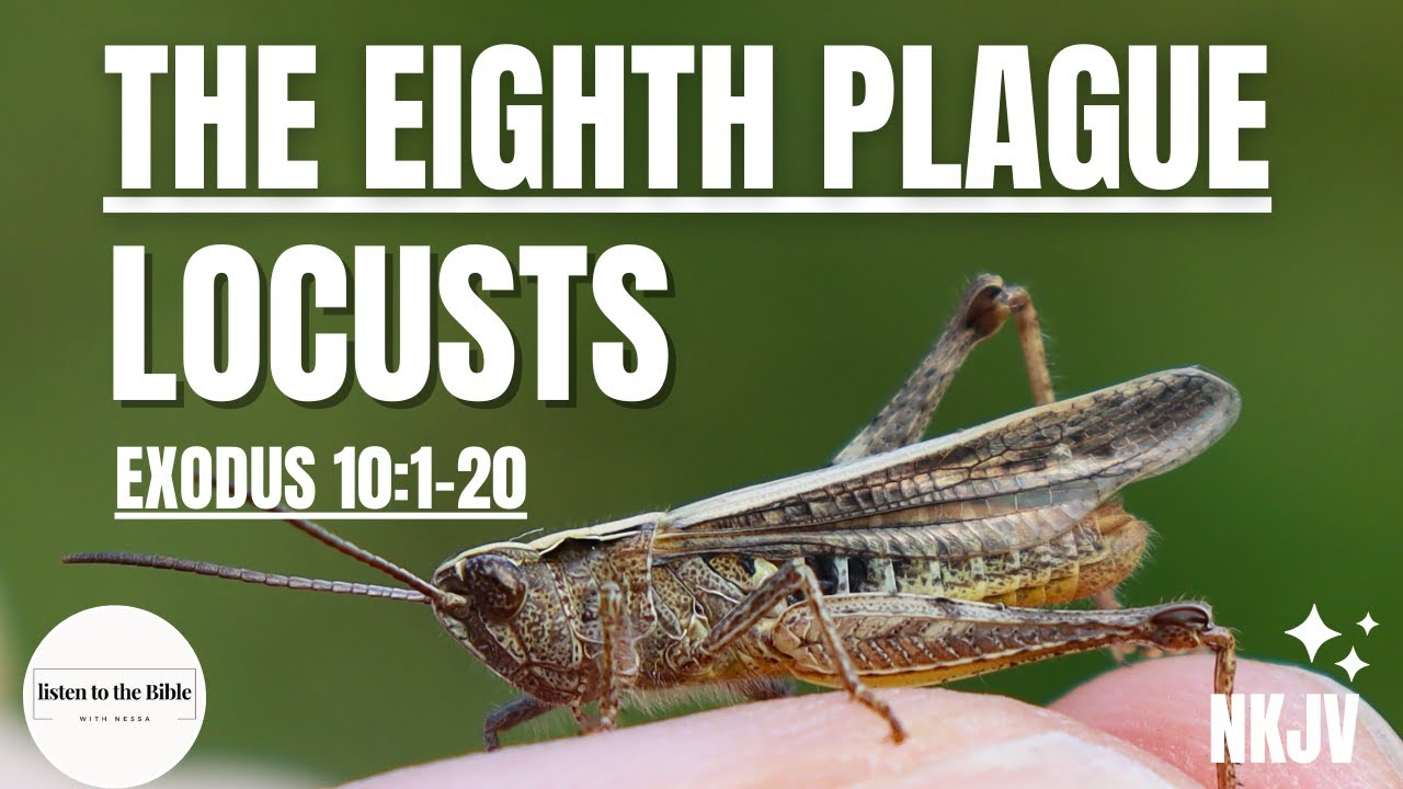The Eighth Plague Locusts (Exodus 10120) listen to the Bible while