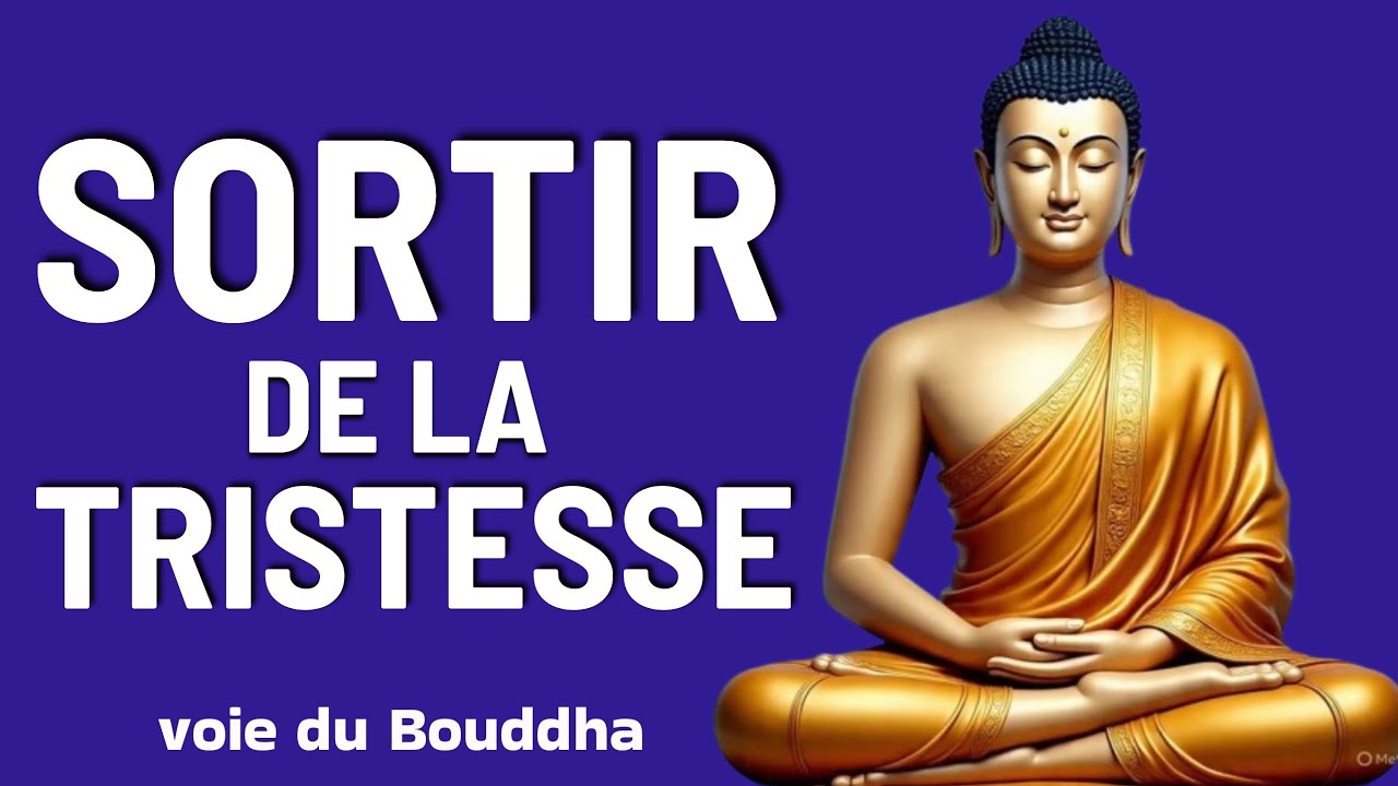 Si Ton Esprit Est Fatigué, Cette Vidéo Est Pour Toi