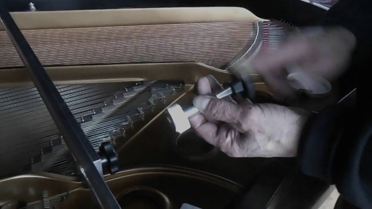 MIRIZIO MICROPHONE MOUNT