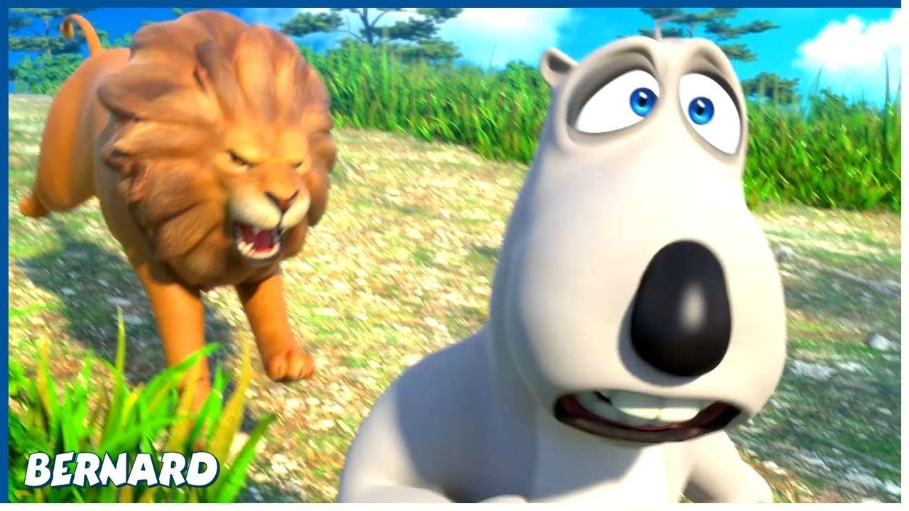 Photographer | Bernard | 110' Compilation