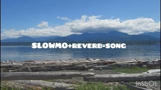 SHAKY SHAKY SONG SLOWMO reverb | #youtube #trendingsong #trendinglayaric