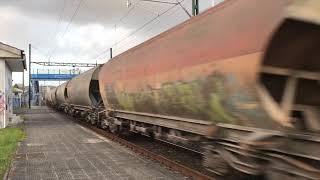 Tarde De Trenes En La Estación De Osebe