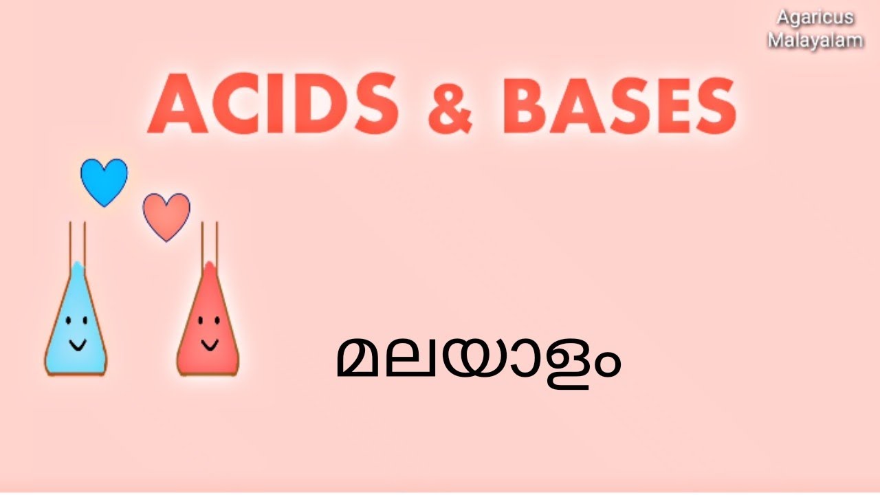ACIDS AND BASES CHEMISTRY MALAYALAM YouTube