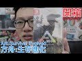 【開箱趣】方舟:生存進化 Ark: Survival Evolved Nintendo Switch開箱加強版系列#87〈羅卡Rocca〉