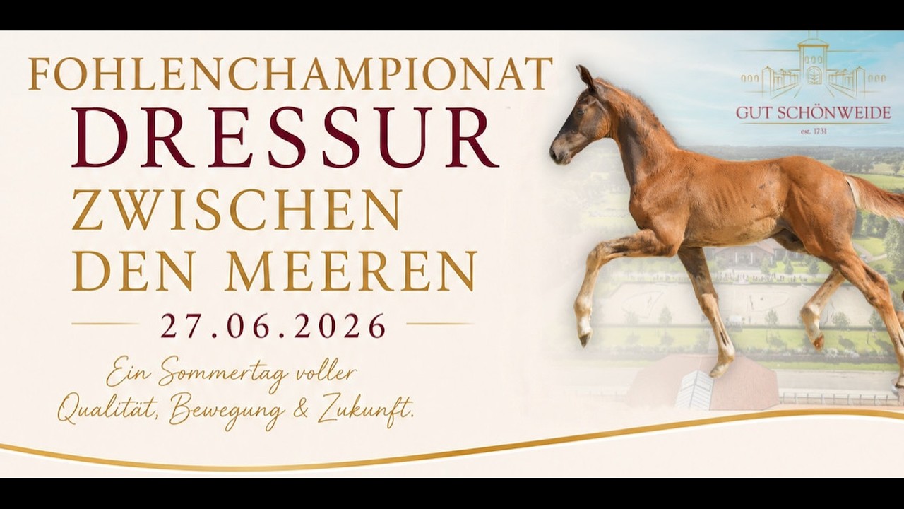 Sa. 27.06.2026 | Fohlenschau „Dressur zwischen den Meeren“ | Gut Schönweide GmbH