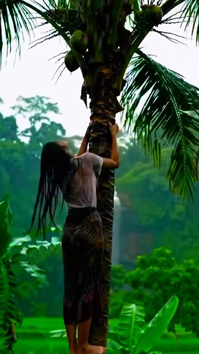 The girl climbing coconut to break #shortsfeed #youtubeshorts #shorts #rain #trending #funny #video