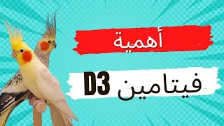 أهمية فيتامين د3 للطيور