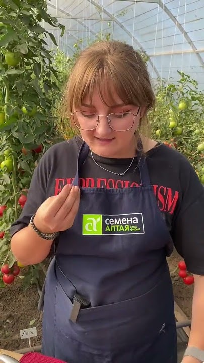 Сорт Йетина мать! #дача #сад #огород #семенаалтая #томаты - YouTube