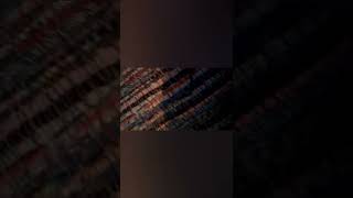 50 Videos On The Channel....