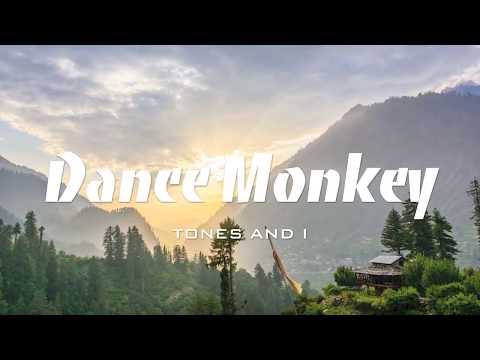 tones-and-i---dance-monkey-(lyrics-and-translate-chinese-indonesia)