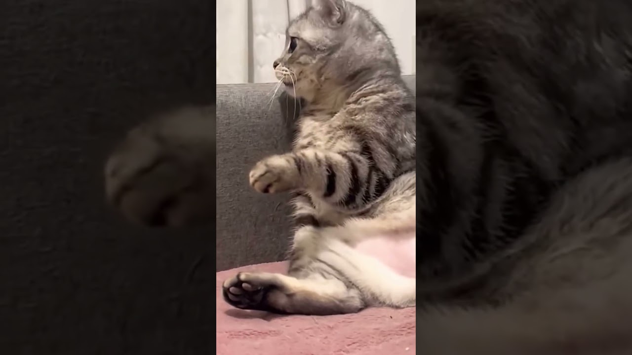 "Free Voice Changer App - Kisi Ko Bhi Ullu Banao! 😂" ElevenLabs AI voice generator FREE mein kaise