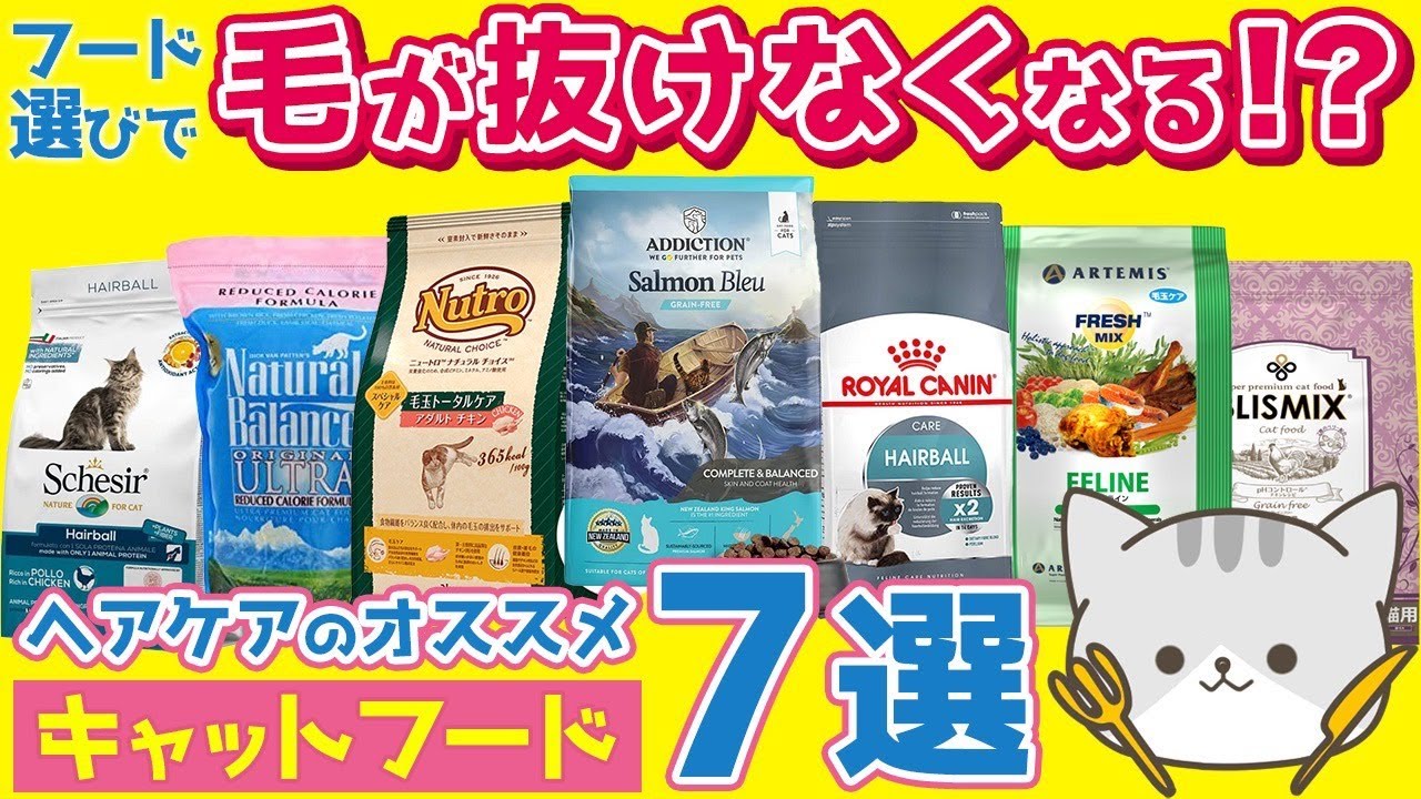 【キャットフード選びで抜け毛が抜けなくなる!?】毛玉や被毛ケアのオススメキャットフードや猫草、サプリメントの活用方法も紹介！