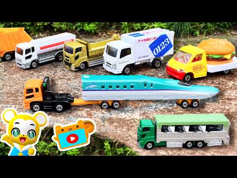[Toys] Working Vehicles ★ Hide-and-Seek with Tomica! Tomica ★ Fire Trucks, Ambulances, and Police...