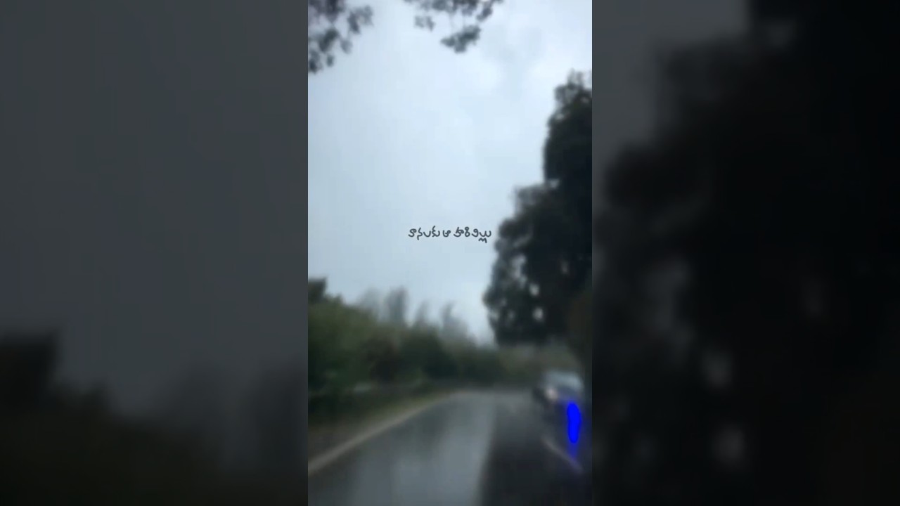 #beautiful#song#travel#journey#bestsong#shorts#trending#life#rain#entertainment#viral#ytshorts#happy