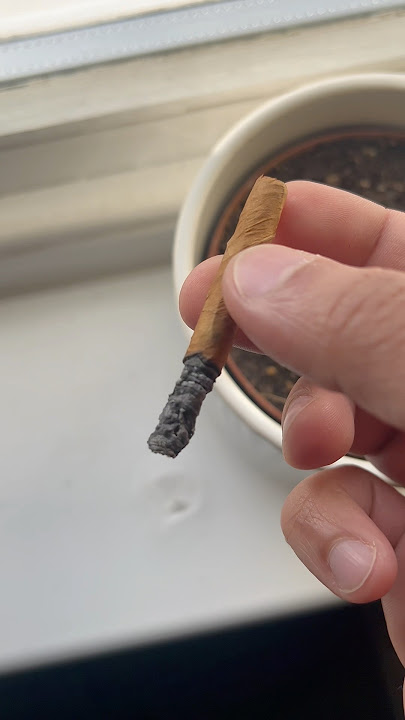 Montecristo Mini Cigarillos #montecristo #cubancigars #cigarillos #habanacuba #cuban #cigarsdaily