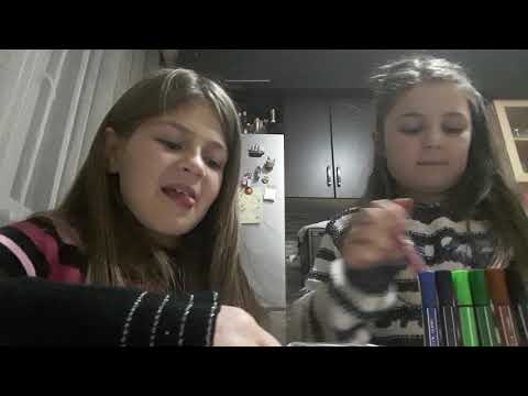 დღიურის გაფორმება