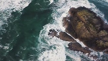 .flv video file test