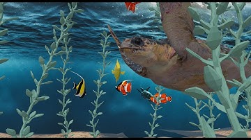 Scavengar Showroom Feature Update