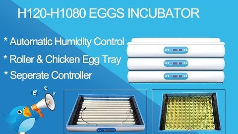HHD auto humidity control incubator for 120 to 1080 eggs