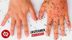 Banyak yang Gak Tau Caranya! 10 Tips Unik Mengusir Nyamuk di Rumah Dengan Bahan Alami - Durasi: 8.09. 