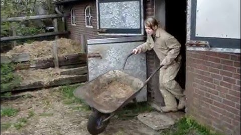 Presentatieavondfilmpje H4D